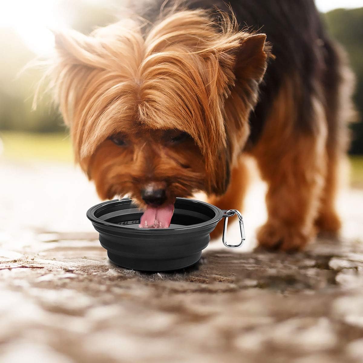 Large Collapsible Dog Bowls 2 Pack, 34oz Foldable Dog Travel Bowl, Portable Pet Water Food Bowl with Clasp, Pet Cat Feeding Cup Dish for Traveling, Walking, Hiking (Black+Black) - view 6