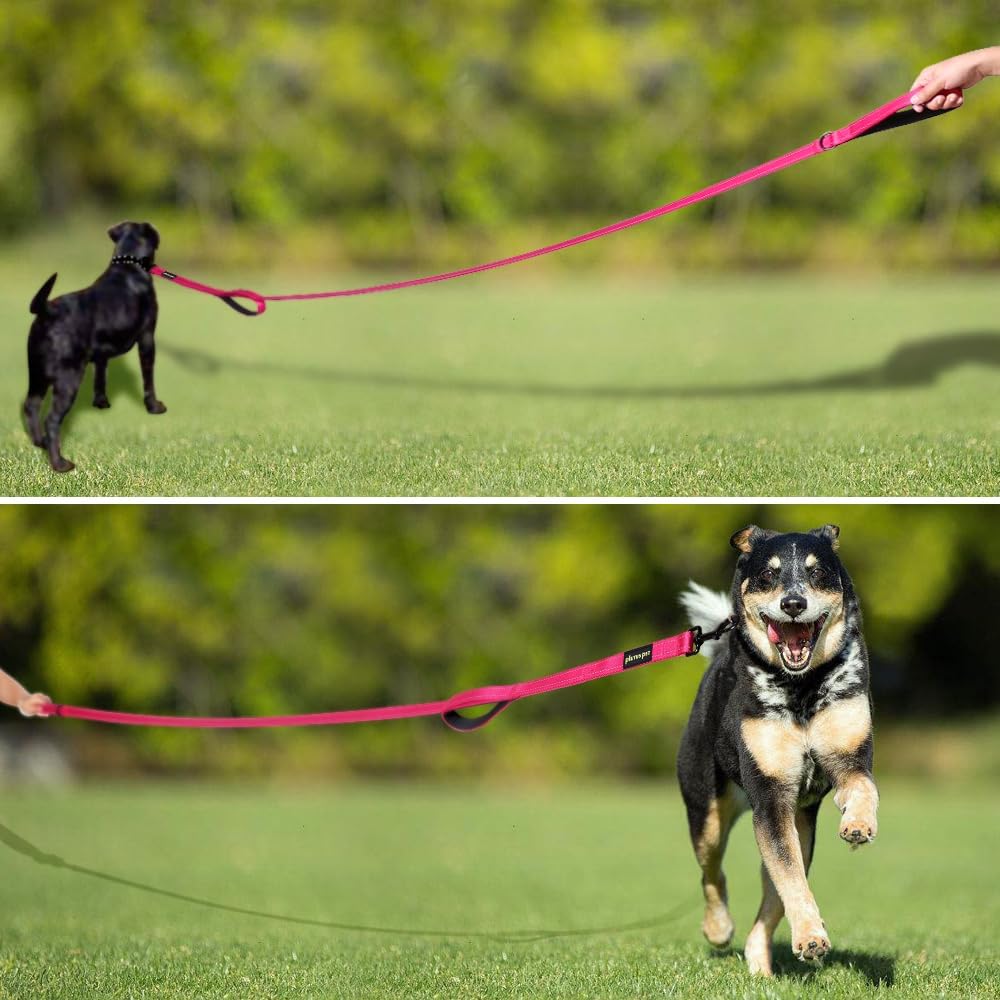 Double Handle Dog Leash, 6 FT Long, for Medium Large Dogs | Reflective Nylon, Soft Padded 2 Handles, Heavy Duty for Training, Dual Handle Lead, 6 FT x 1”, Pink - view 6