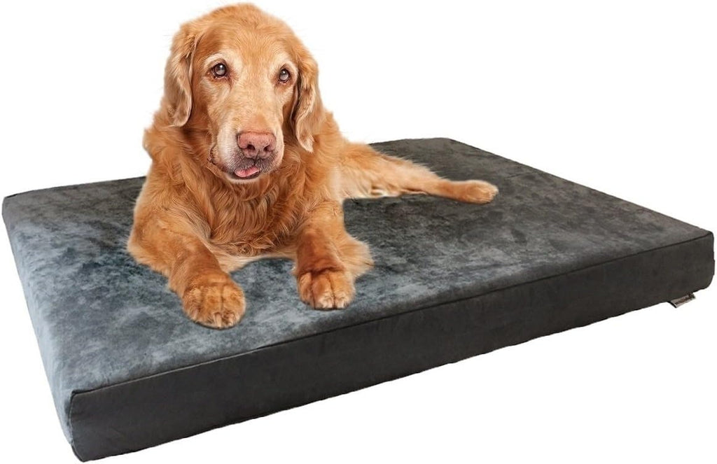Orthopedic dog bed with memory foam for medium large pet, waterproof liner, washable microsuede gray cover, 41x27x4 inch (fit 42x28 crate)