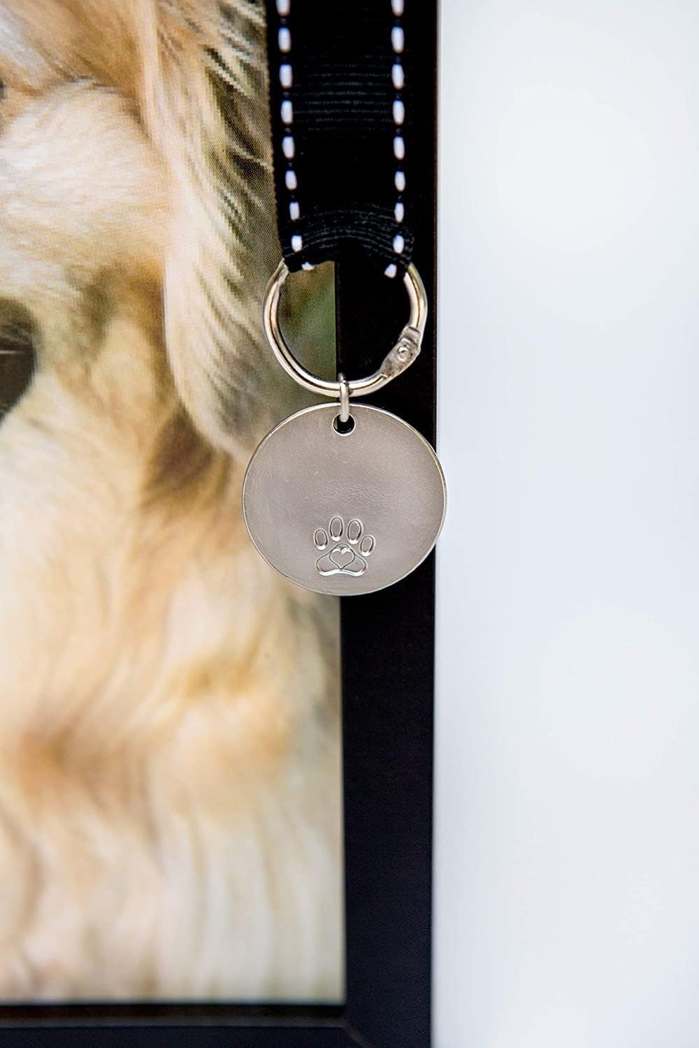 Pawprints Pet Memorial Frame with Pawprints Left by You Poem- Touching Dog Sympathy Gift for Pet Loss Remembrance - view 4