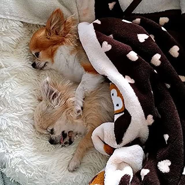 Essentials starter kit, heartbeat toy & blanket, biscuit, calming comfort toy, puppy blanket, teething toy, 3 heat packs, new puppy essentials for first nights and crate training - view 6