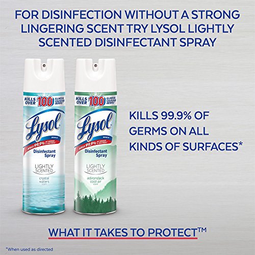 Disinfectant Spray, Citrus Meadows, 19 oz - view 6