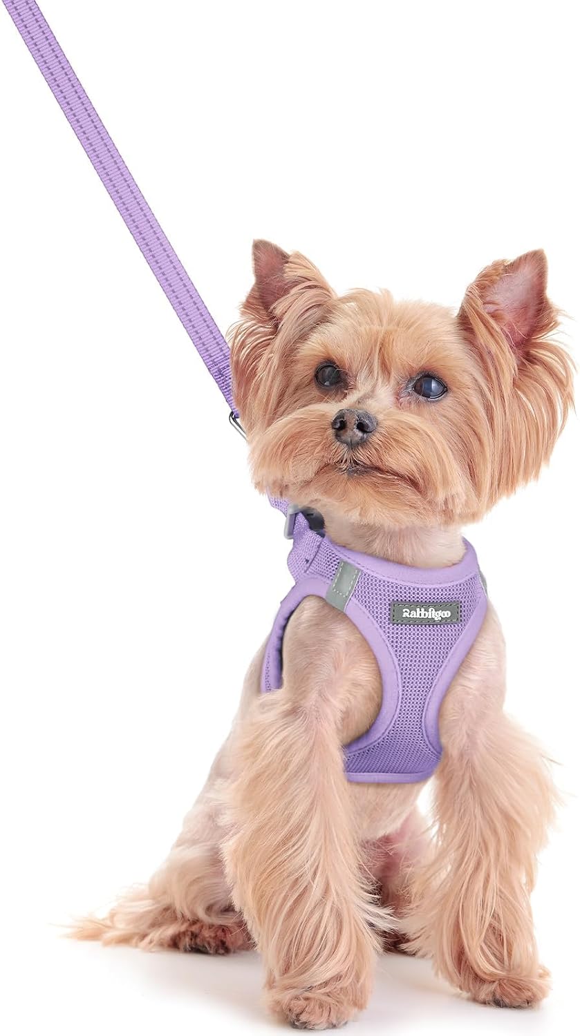 Dog Harness Small Sized and Leash Set, Step-in Puppy Pet Vest | Light, Soft, Breathable Air Mesh, Easy on and Remove with Hook & Loop, Secure Reflective for Walking, Light Purple XXS