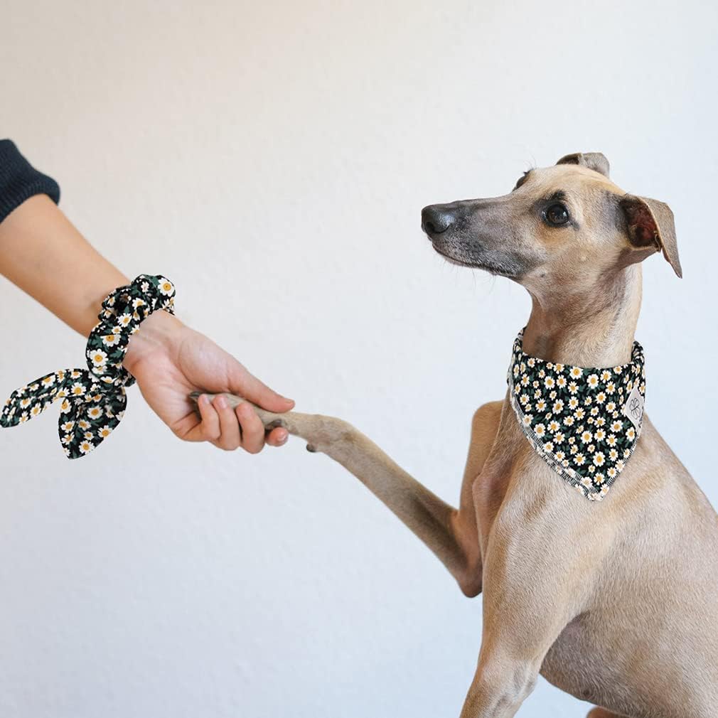 Dog Bandanas & Matching Scrunchie Set Girl Dog Scarf Bibs with Bow Scrunchie for Medium Large Dogs Pet Owner Gifts Flower Black - view 2