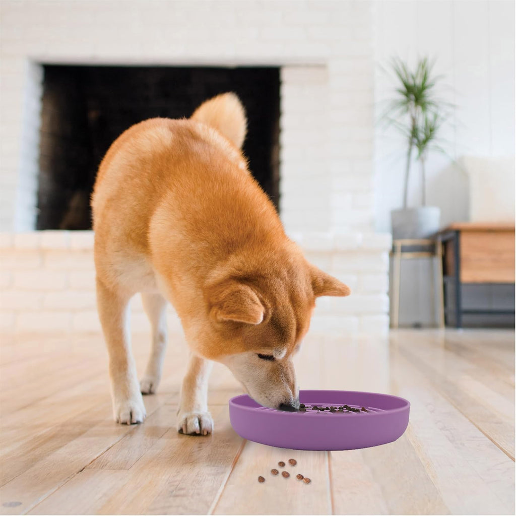 Slow feeder dog bowls, interactive silicone dog feeding bowls for dogs & cats, slow feeder non-slip with suction cups, anti-choking, non BPA, reduces boredom, anxiety, dishwasher microwave safe - view 6