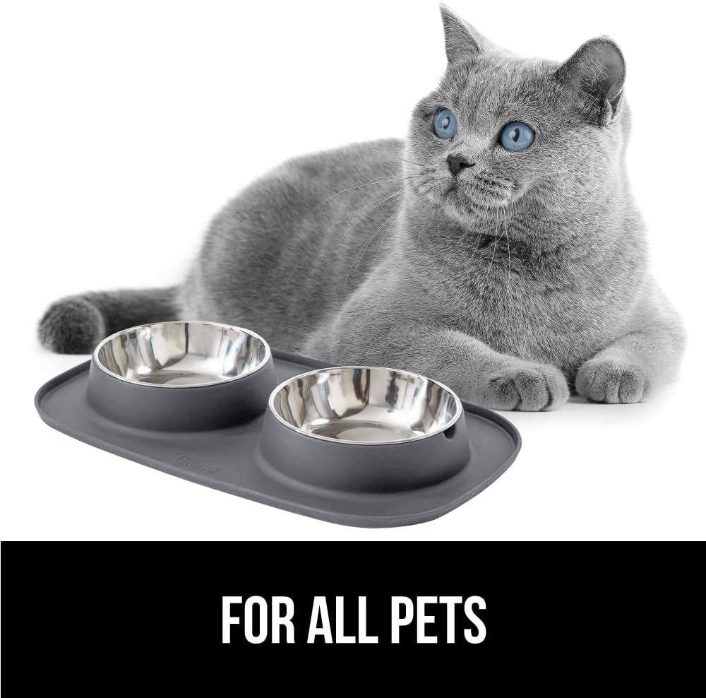 Dog bowl set with slip resistant silicone feeding mat, food grade 304 stainless steel bowls, BPA free, high edge spill containment, dishwasher safe, finger notch removal, 1 cup, gray - view 8