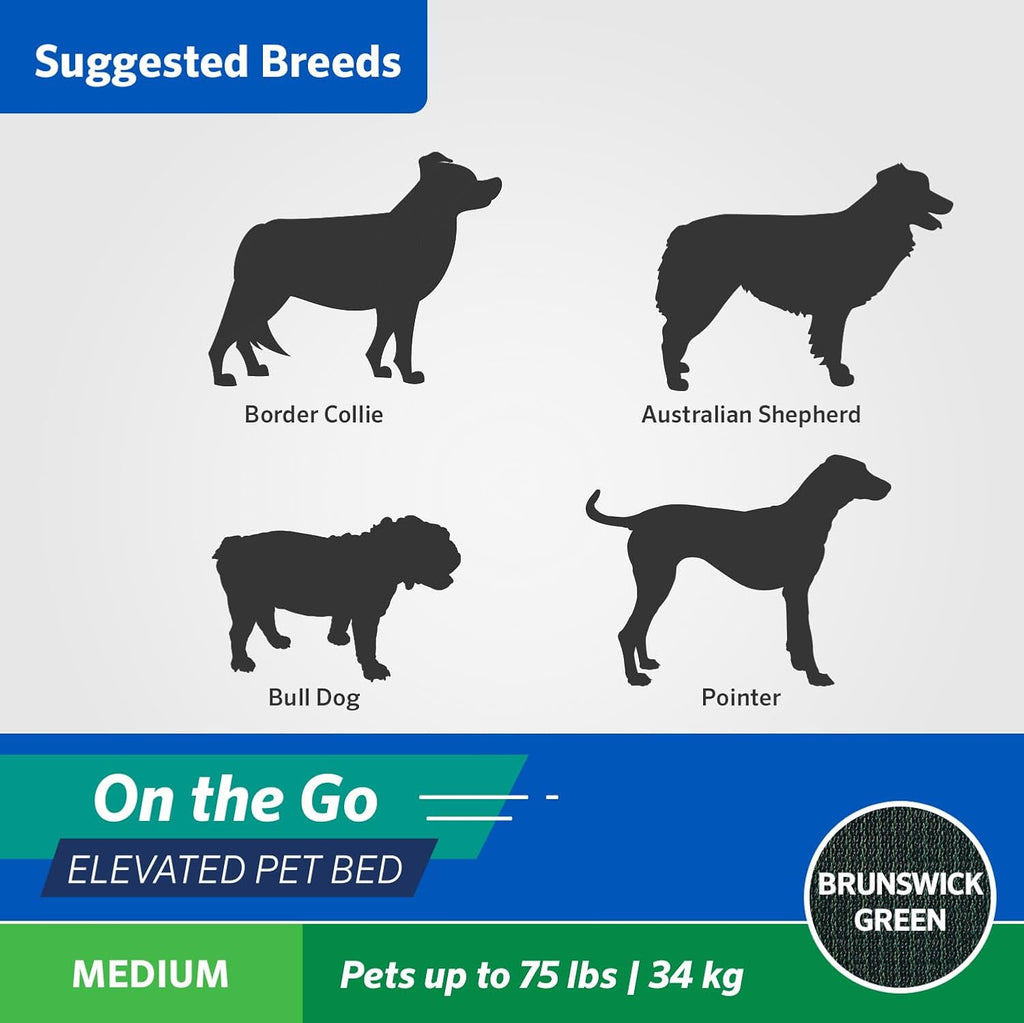 On-The-Go Elevated Dog Bed - Foldable Pop-Up Travel Dog Bed with Breathable, Moisture-Resistant Fabric, Carry Bag Included, Lightweight & Portable, Brunswick Green, Medium - view 7