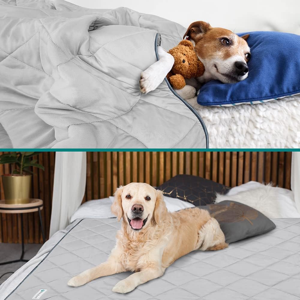 Premium Cooling Dog Blanket | Lightweight Fluffy Pet Throw Blanket Bed Cover for Dogs, Cat, Puppies | Pet Blanket Furniture Protector Couch Sofa | Reversible Fuzzy Cozy | 40x60, Light Grey - view 2