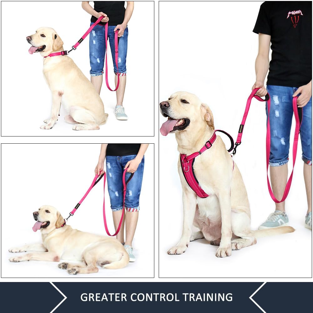 Double Handle Dog Leash, 6 FT Long, for Medium Large Dogs | Reflective Nylon, Soft Padded 2 Handles, Heavy Duty for Training, Dual Handle Lead, 6 FT x 1”, Pink - view 3