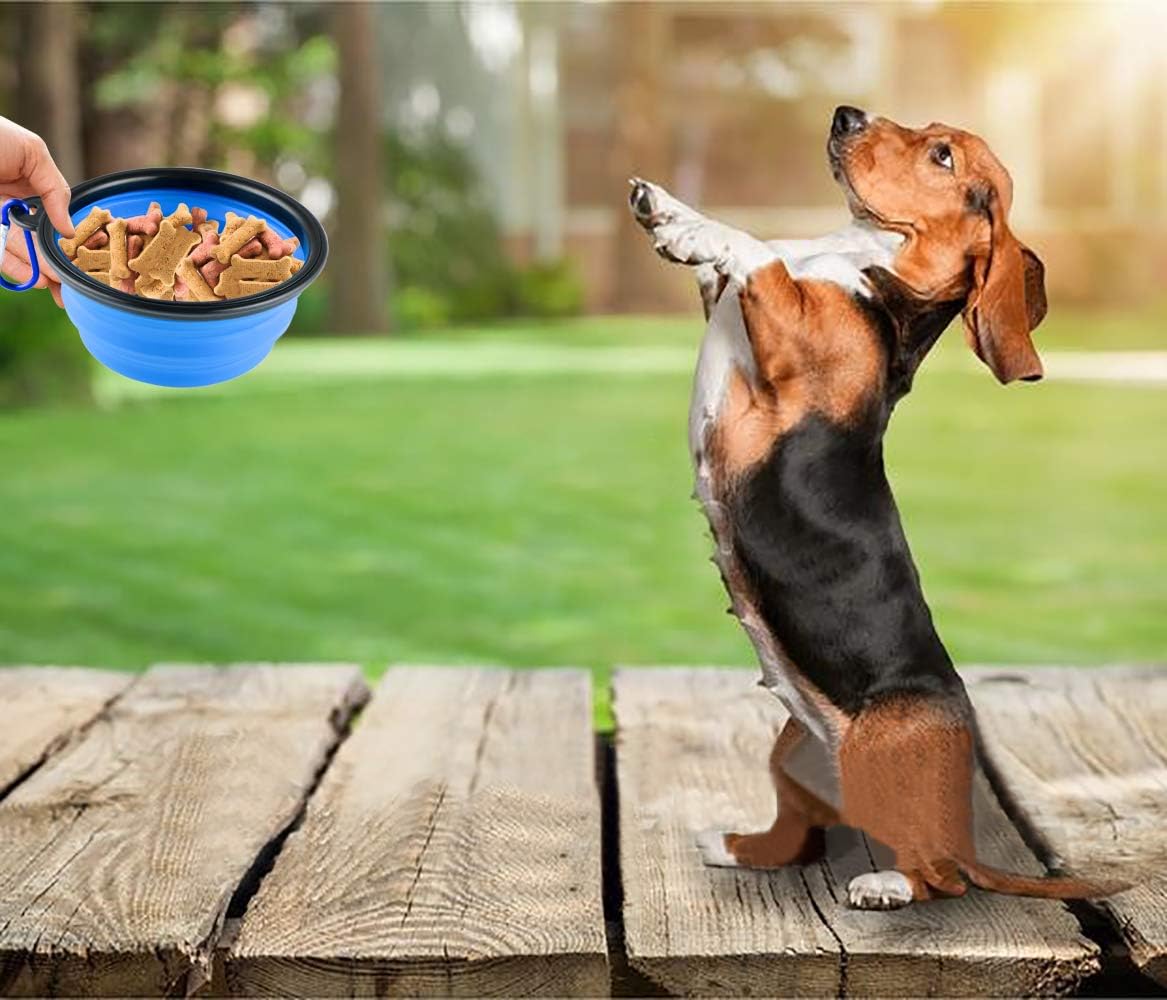 Collapsible silicone dog bowls, 3-pack travel pet food water bowls in orange, green and blue. 5.1 in wide, 2.1 in tall, folds to 0.5 in. Holds 12 oz water or 1.5 cups food. Includes ID tag. - view 6
