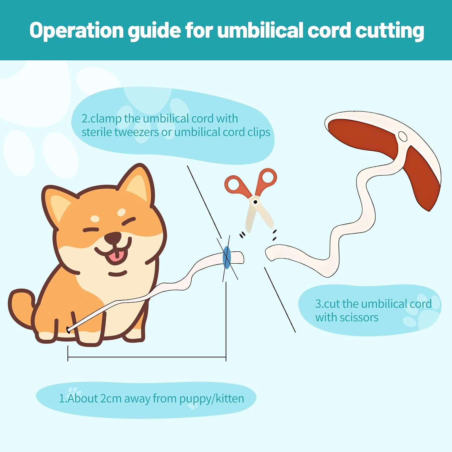48-Piece Puppy Whelping Kit – Complete Whelping Supplies for Safe Puppy Birth, Includes Feeding Tubes, Collars, Cord Clamps, Urine Pads, Gloves & More – Essential Puppy Birthing Kit for Breeders - view 5