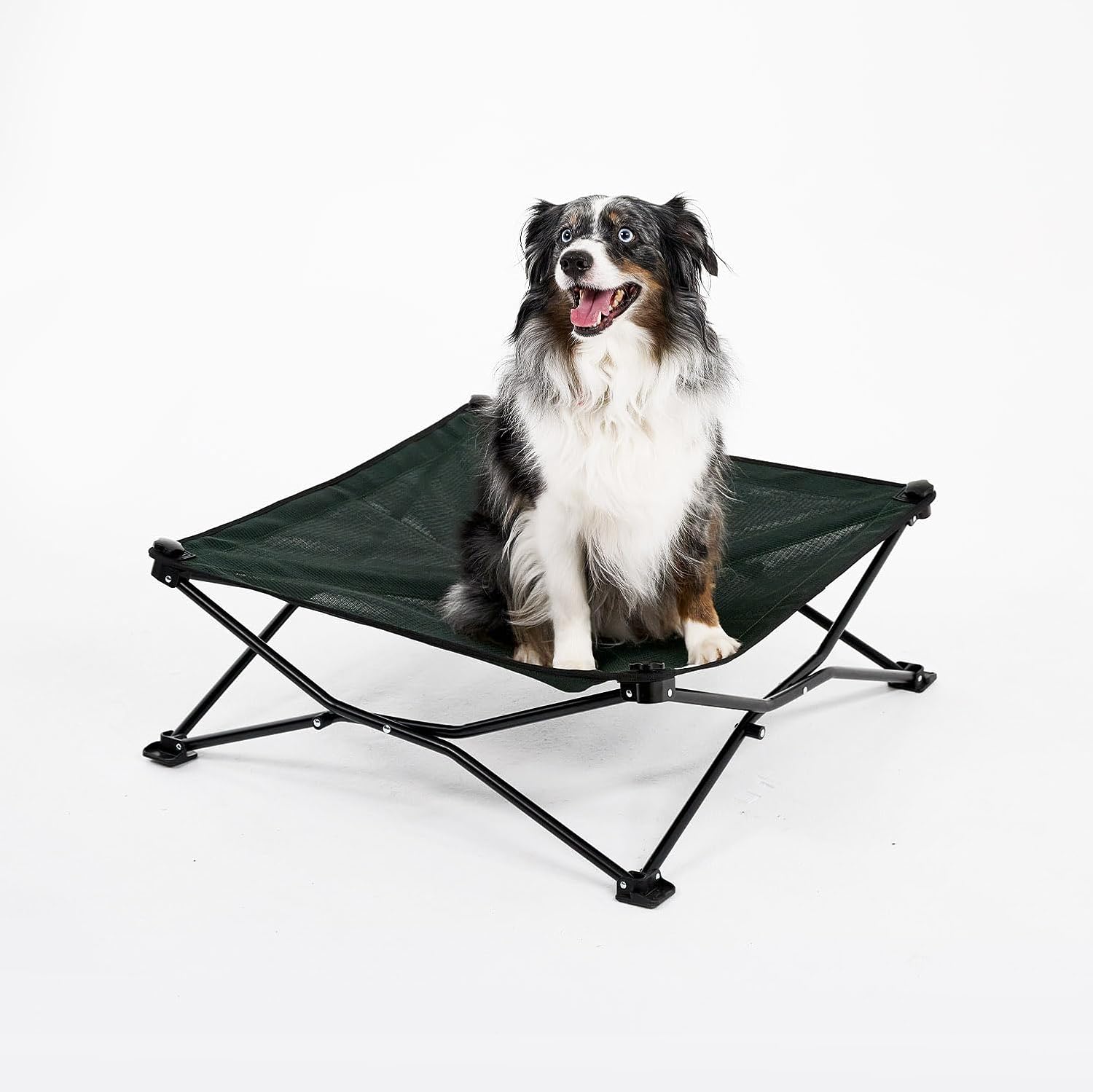 On-The-Go Elevated Dog Bed - Foldable Pop-Up Travel Dog Bed with Breathable, Moisture-Resistant Fabric, Carry Bag Included, Lightweight & Portable, Brunswick Green, Medium - view 2