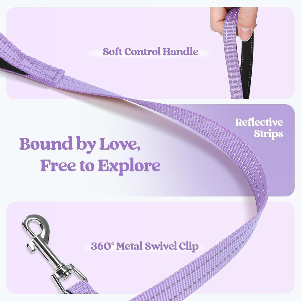 Dog Harness Small Sized and Leash Set, Step-in Puppy Pet Vest | Light, Soft, Breathable Air Mesh, Easy on and Remove with Hook & Loop, Secure Reflective for Walking, Light Purple XXS - view 6