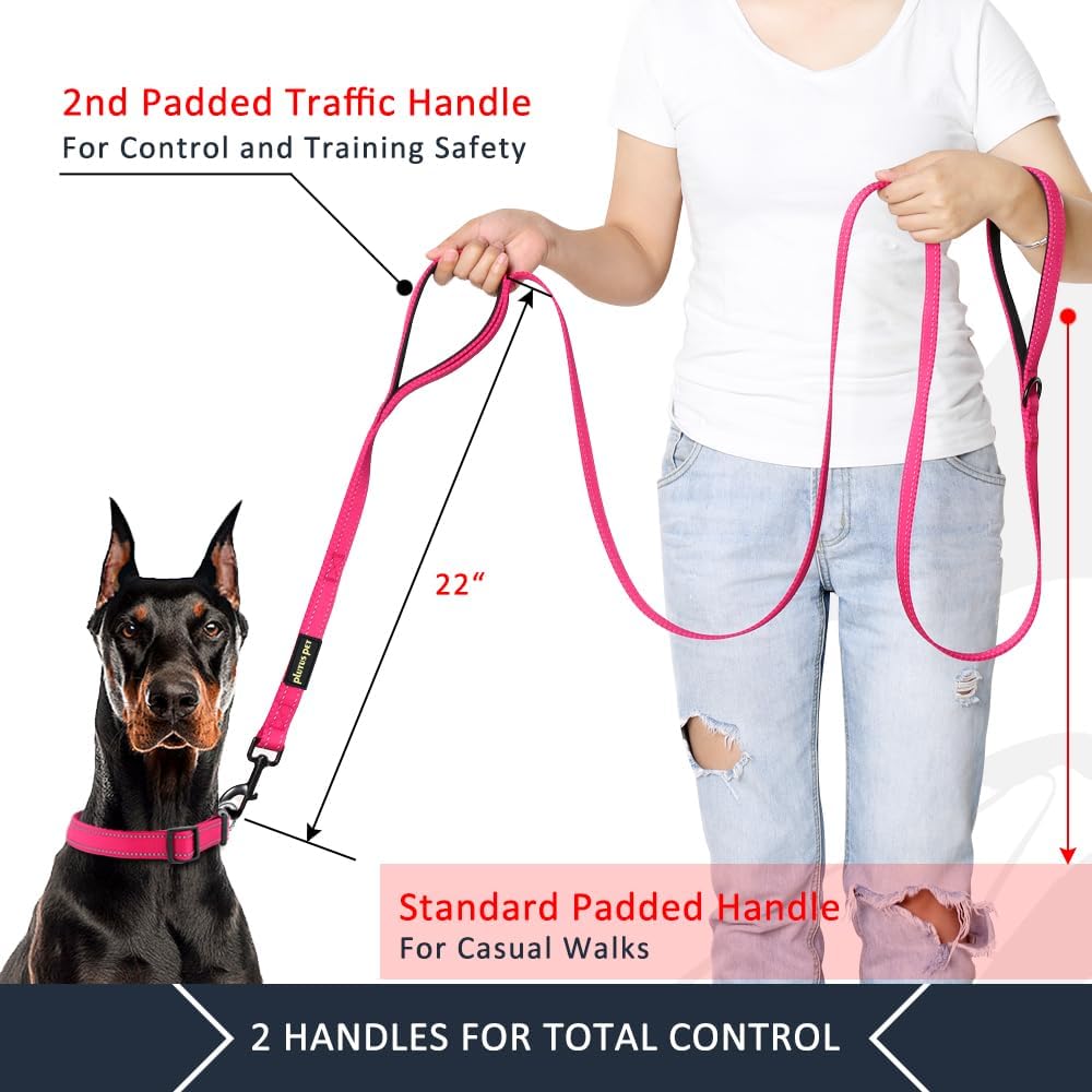 Double Handle Dog Leash, 6 FT Long, for Medium Large Dogs | Reflective Nylon, Soft Padded 2 Handles, Heavy Duty for Training, Dual Handle Lead, 6 FT x 1”, Pink - view 2