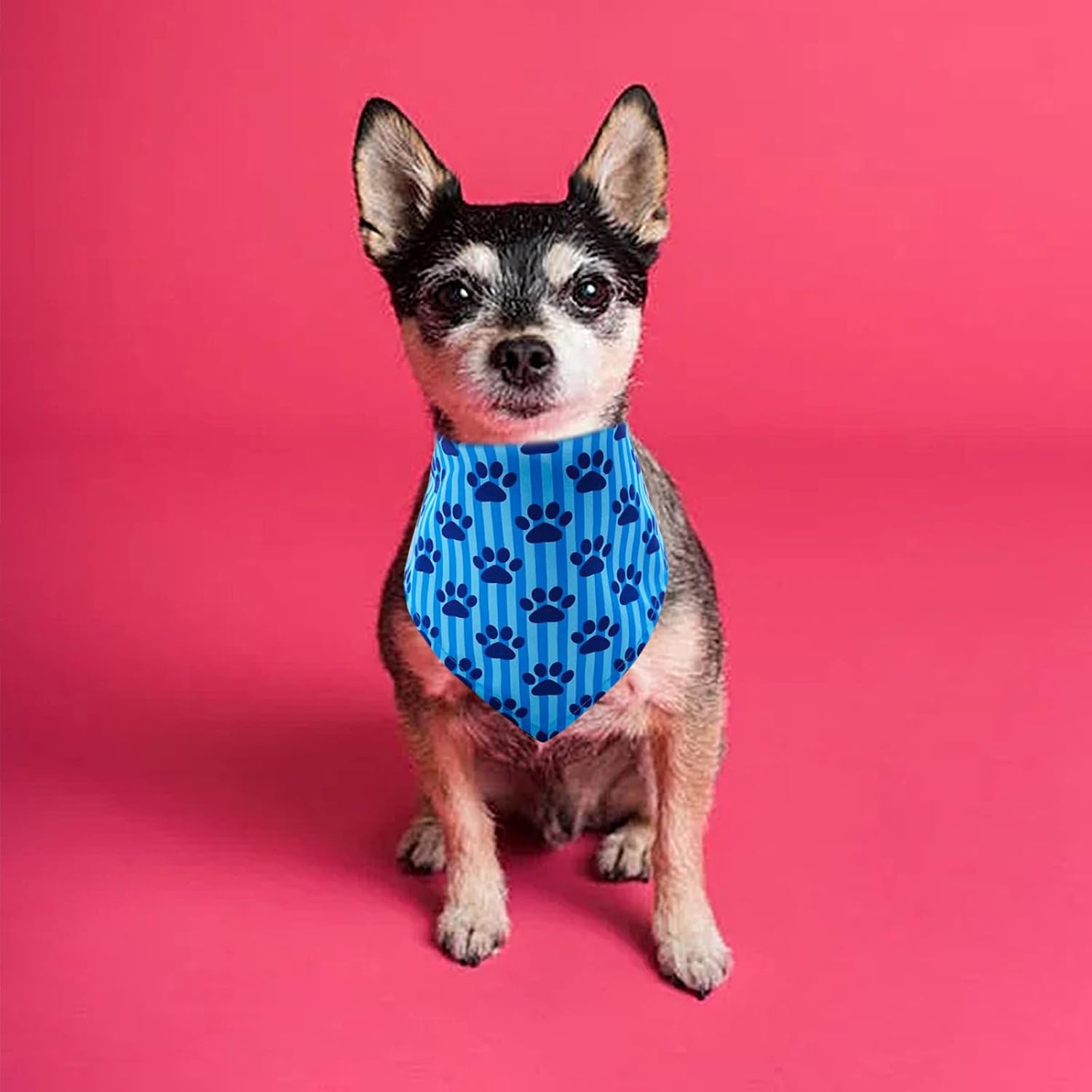 Paw print dog bandanas bulk for small dogs sewn edge 18" 30pcs S | hemmed dog bandanas for dogs polyester small dog bandana bulk for pets groomer dog scarves scarfs party grooming - view 5