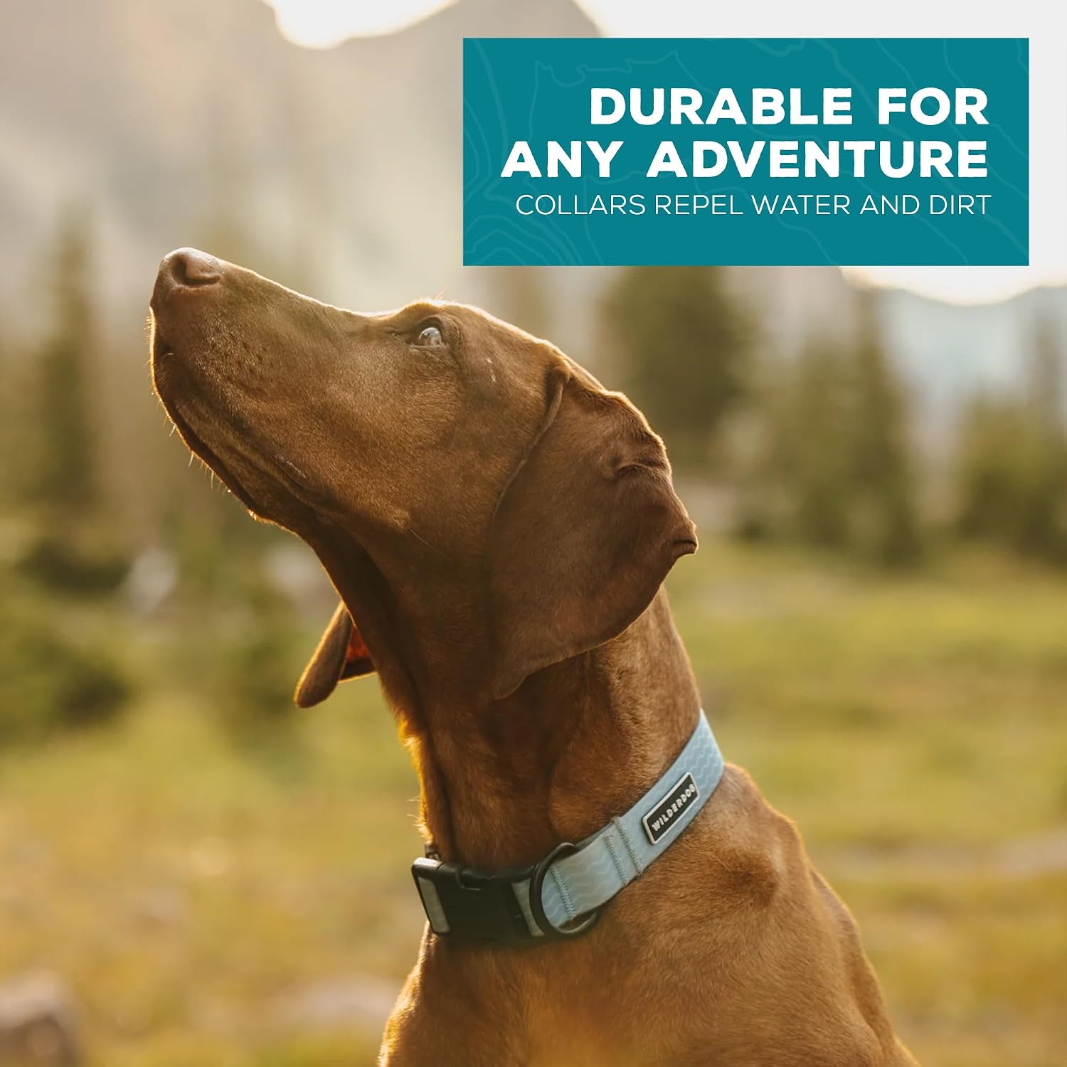 Waterproof dog collar - repels water & dirt - medium 13"-18" - saltwater - view 5
