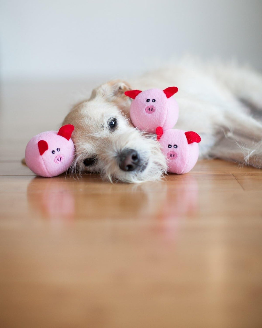 Burrow- Interactive Dog & Puppy Toys for Boredom, Stimulating Pet Products to Keep Them Busy, Hide & Seek Plush Dog Puzzles, Squeaky Toy for Enrichment, for Small & Medium Dogs- Pig Barn - view 5