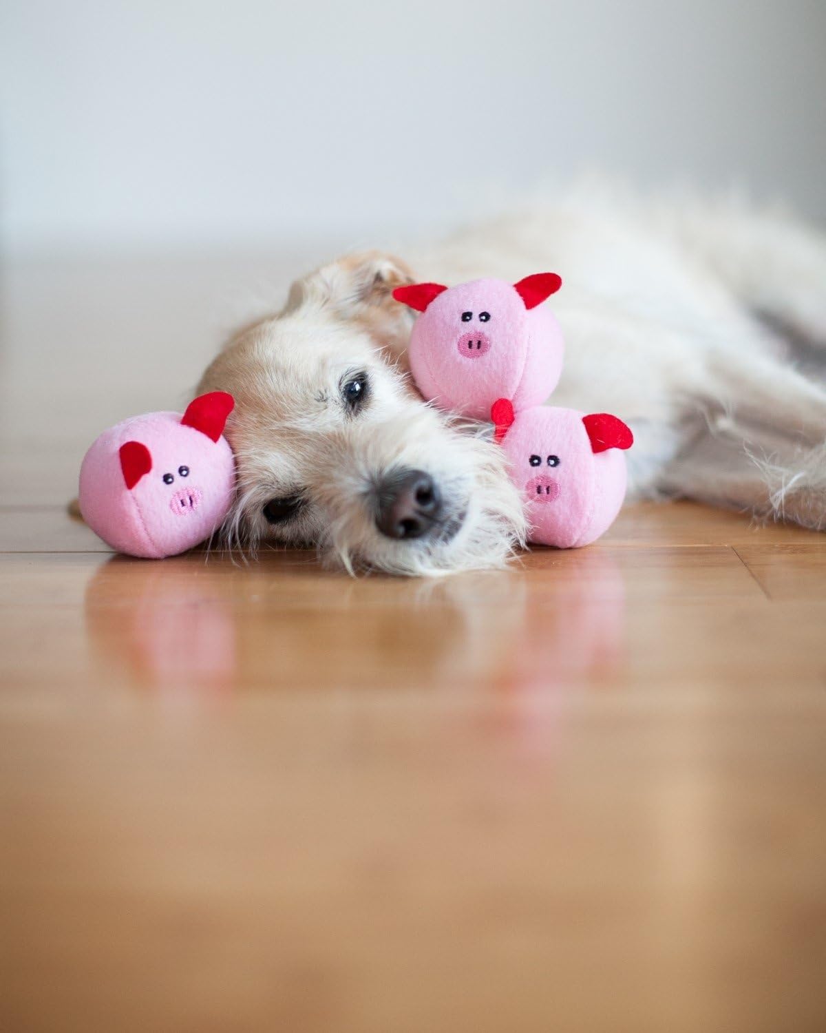 Burrow- Interactive Dog & Puppy Toys for Boredom, Stimulating Pet Products to Keep Them Busy, Hide & Seek Plush Dog Puzzles, Squeaky Toy for Enrichment, for Small & Medium Dogs- Pig Barn - view 5