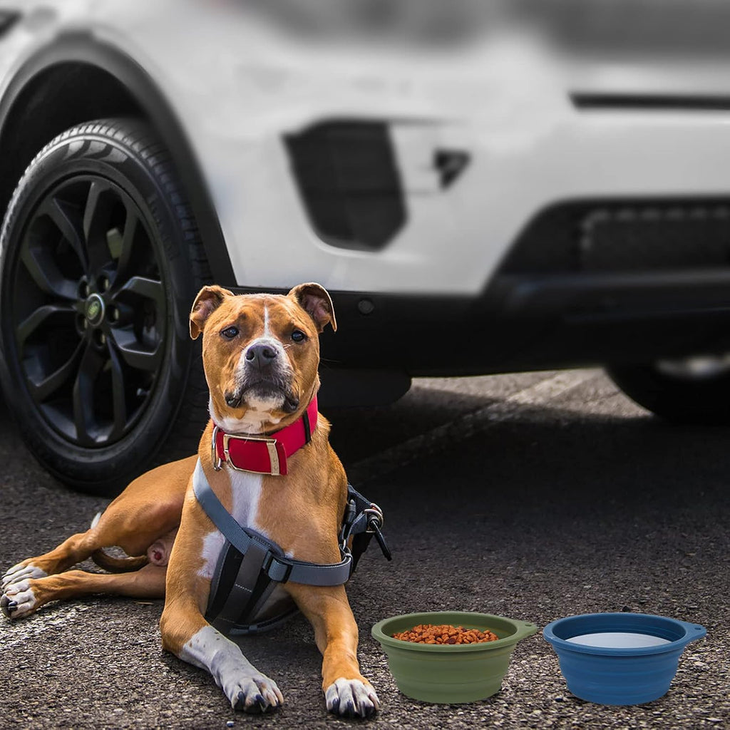 2Pack Collapsible Dog Bowl,Integrated Molding Travel Bowl No Plastic Rim Pet Feeding Bowls for Walking Traveling Outdoors,600ML (Navy Blue+Dark Green) - view 5