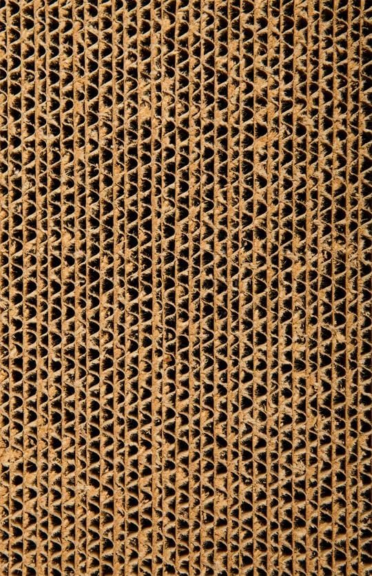 Reversible Cardboard Cat Scratcher with Floor Refill and Catnip - view 5
