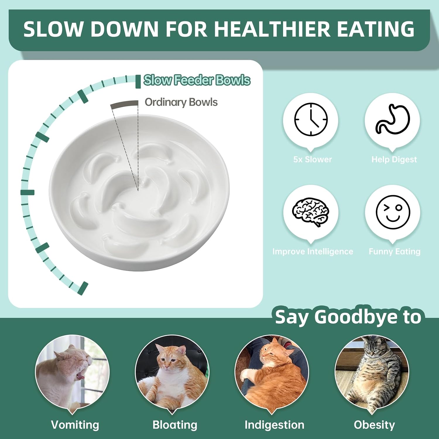 2 pcs ceramic cat slow feeder bowl set, 6.3" wide, slow eating 5X | whisker friendly shallow slow feeding cat dishes, anti-vomit, for dry and wet food, microwave and dishwasher safe, white blue - view 3