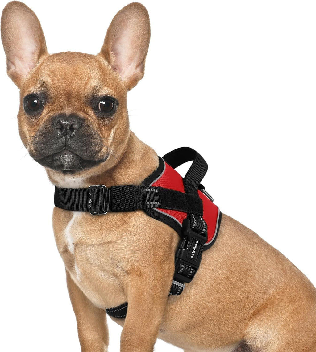 Dog Harness for Small, Easy On Pet Vest with One Buckle, No Pull Adjustable Service Harness with D-Ring & Handle, Reflective for Safety Walking, Training, Blue, S - view 2