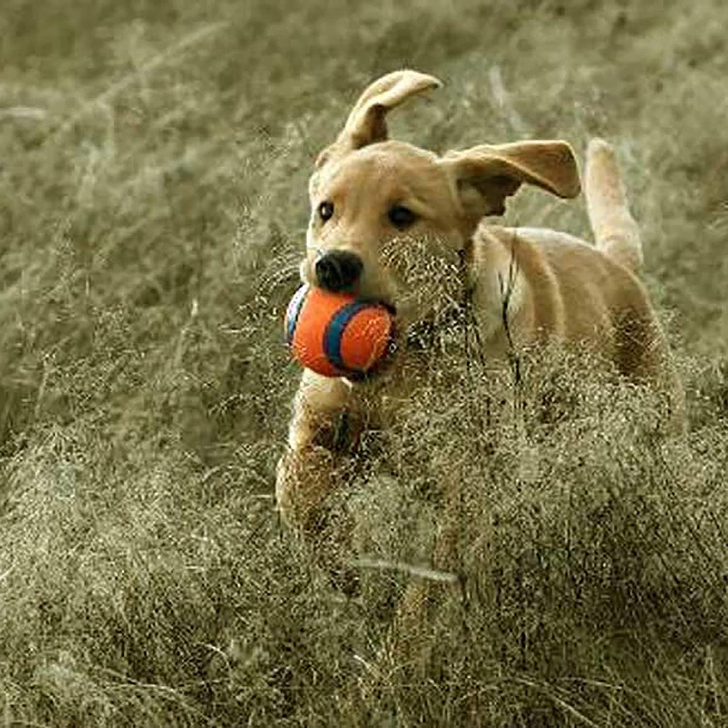 Dog fetch toy ultra ball durable rubber fits launcher small 4 balls - view 6