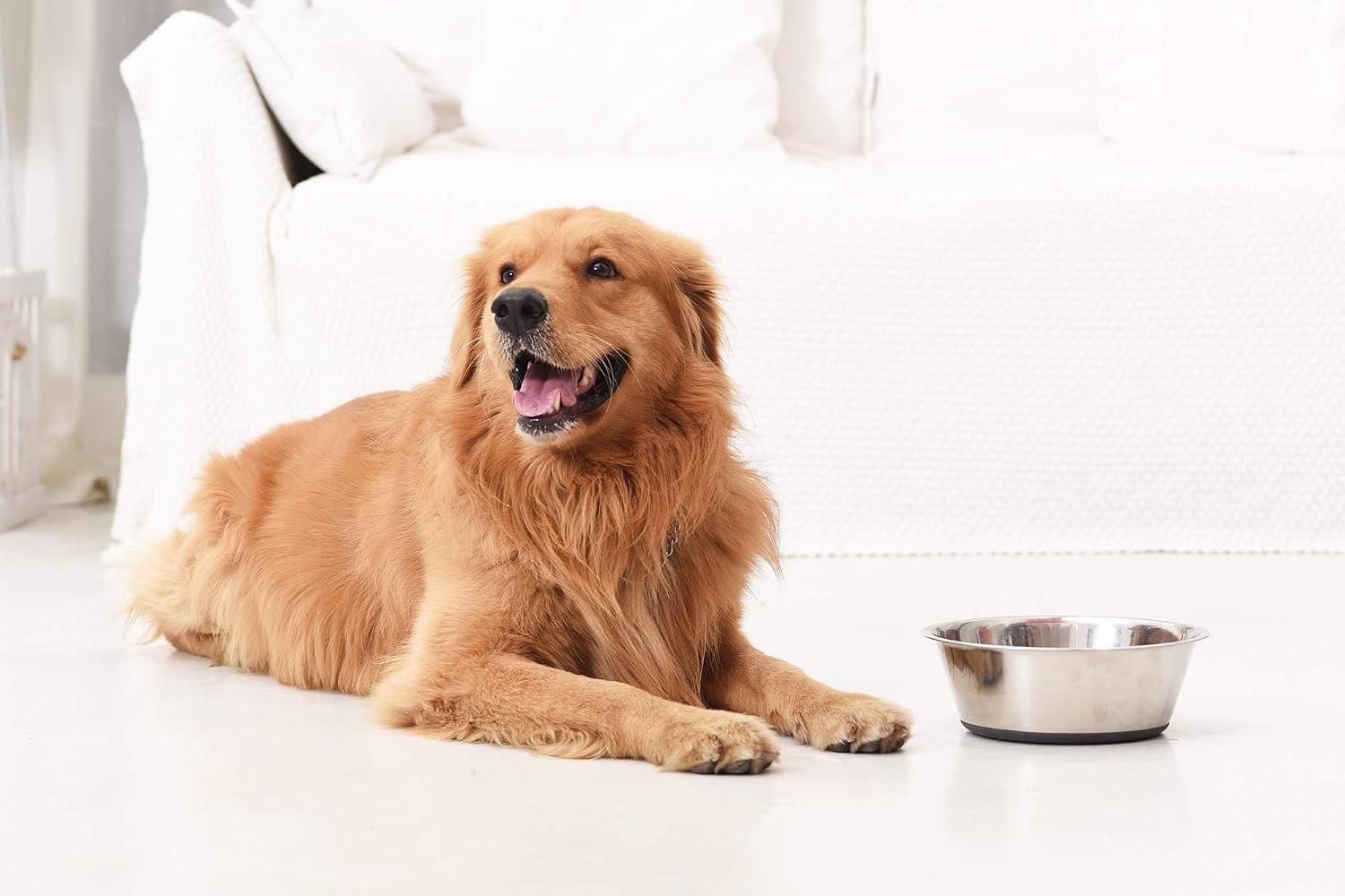 Deep stainless steel anti-slip dog bowls - 2-pack, 8 cups - view 7