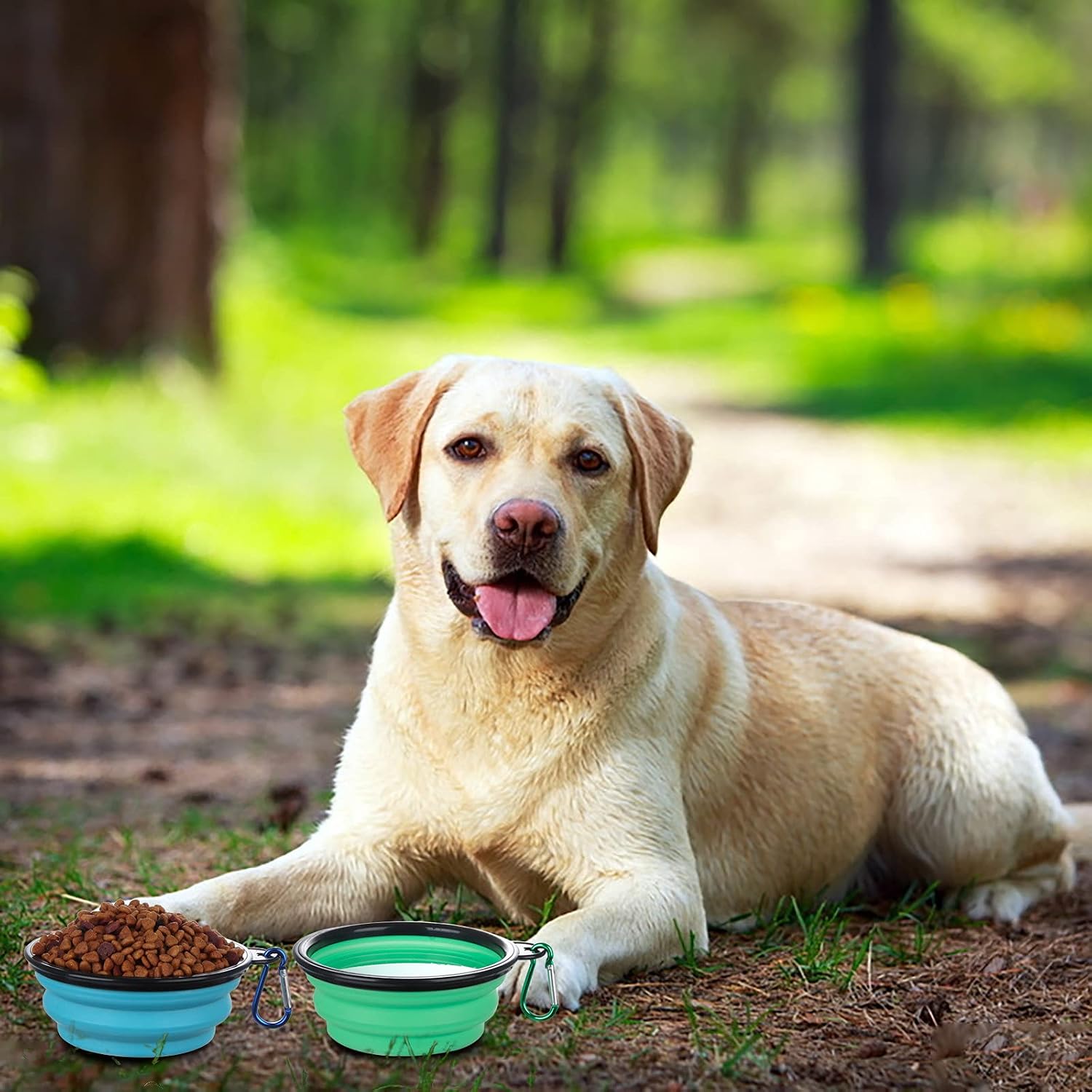 Collapsible Bowl with Cover Lids,2 Pack Dog Travel Bowls Portable Foldable Cat Water Dish Bowl for Pets Walking Parking Camping (Light Blue and Green, Small) - view 6