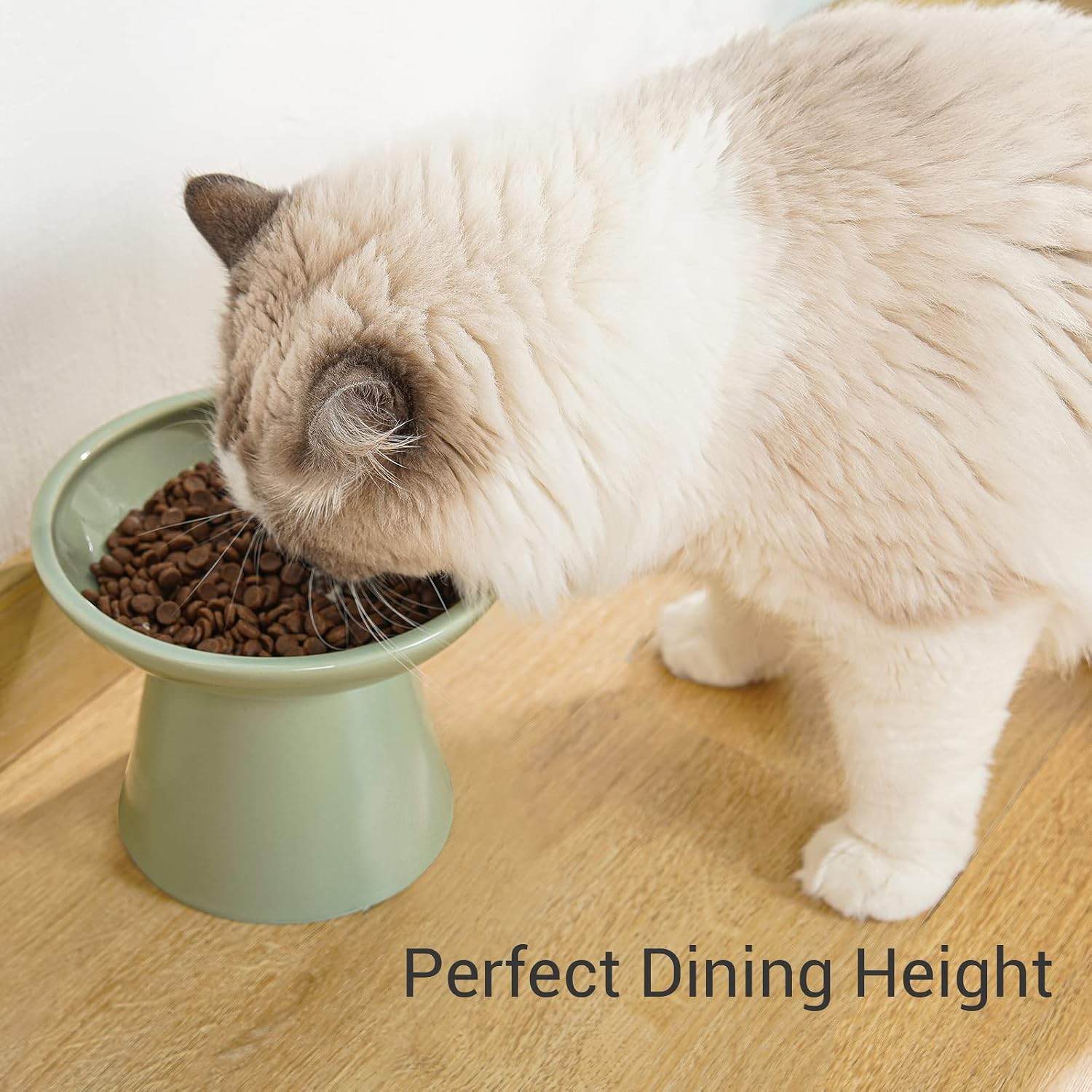 Extra Wide Elevated Ceramic 6.2" Shallow Cat Food Bowl | Cat Dish for Whisker Fatigue Relief, 5" Height for Easy Feeding, Lead & Cadmium Free, Durable Raised Cat Bowl, Sage Green - view 2