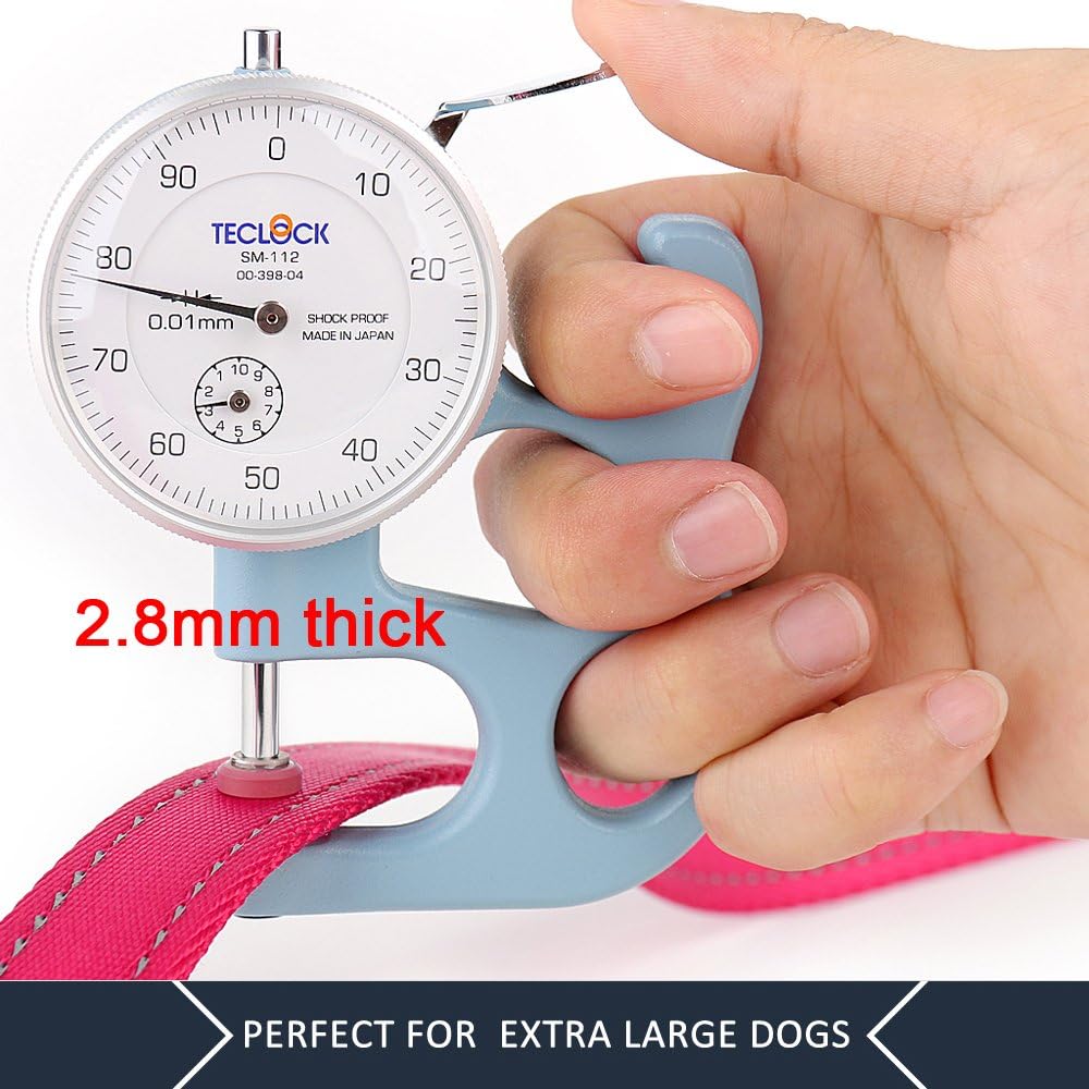 Double Handle Dog Leash, 6 FT Long, for Medium Large Dogs | Reflective Nylon, Soft Padded 2 Handles, Heavy Duty for Training, Dual Handle Lead, 6 FT x 1”, Pink - view 5