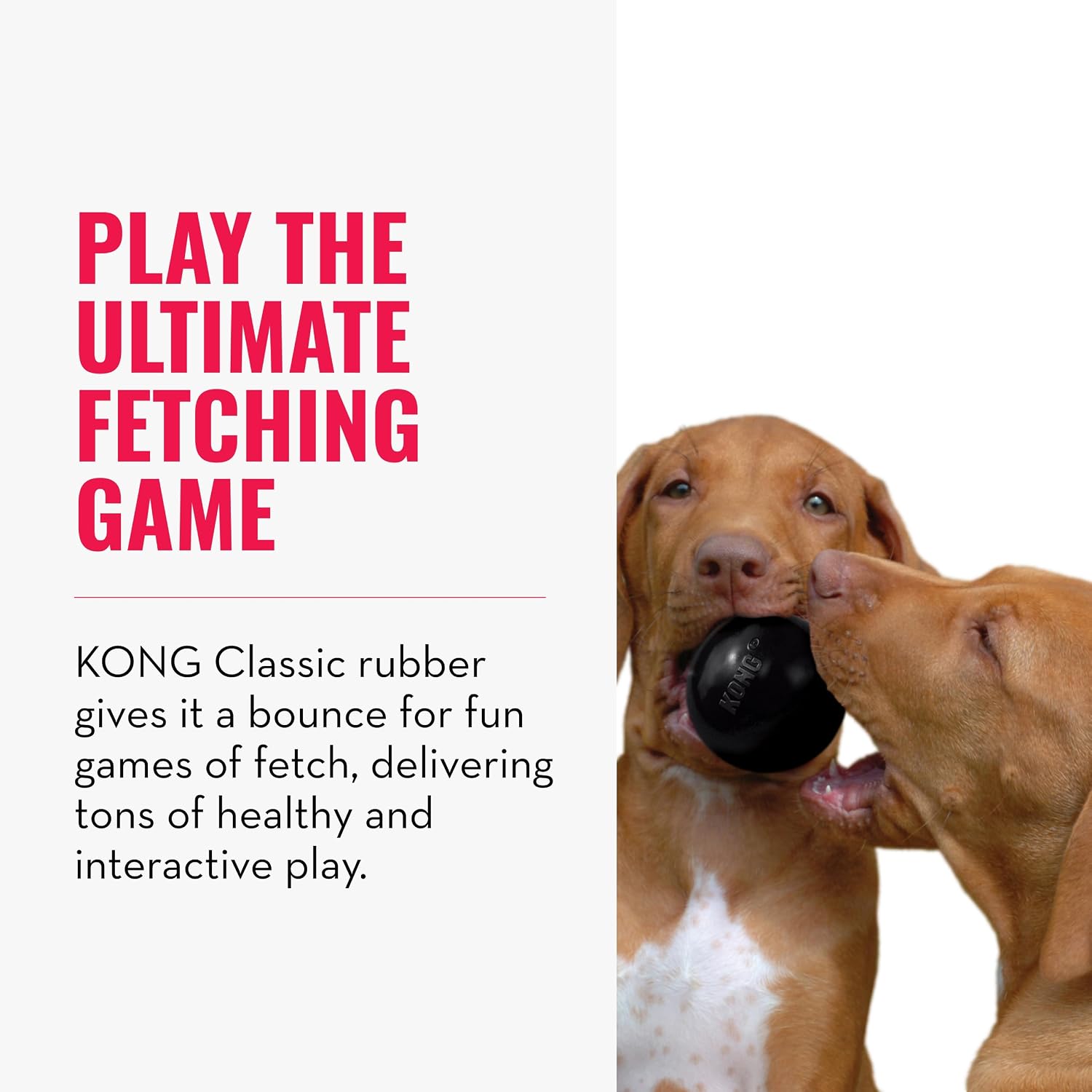 Extreme Ball with Hole, Rubber Fetch Toy, Black, for Large/Medium Dogs | Made from Most Durable Extreme Rubber, a Fetch Ball with a Hole for Training & Interactive Play - view 4