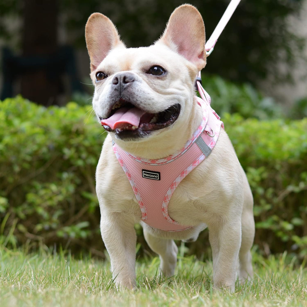 Soft Mesh Dog Harness and Leash Set, Step-in Reflective Breathable Lightweight Vest Harnesses with Safety Buckle for Small Dogs, Cats (Pink, S) - view 4