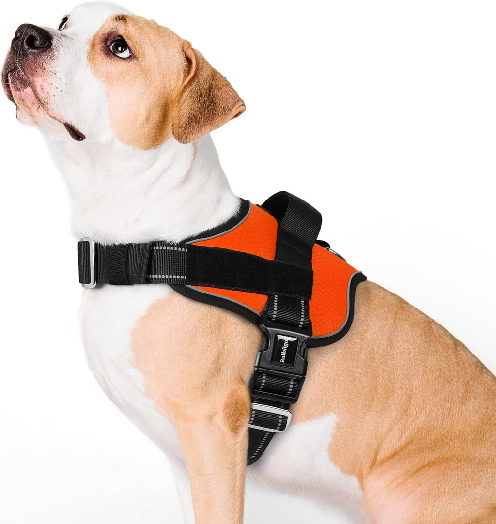 Dog Harness for Small, Easy On Pet Vest with One Buckle, No Pull Adjustable Service Harness with D-Ring & Handle, Reflective for Safety Walking, Training, Blue, S - view 8
