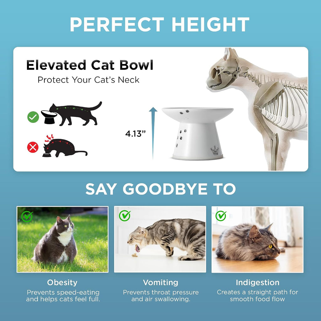 Ceramic extra-wide elevated cat food bowl - view 6