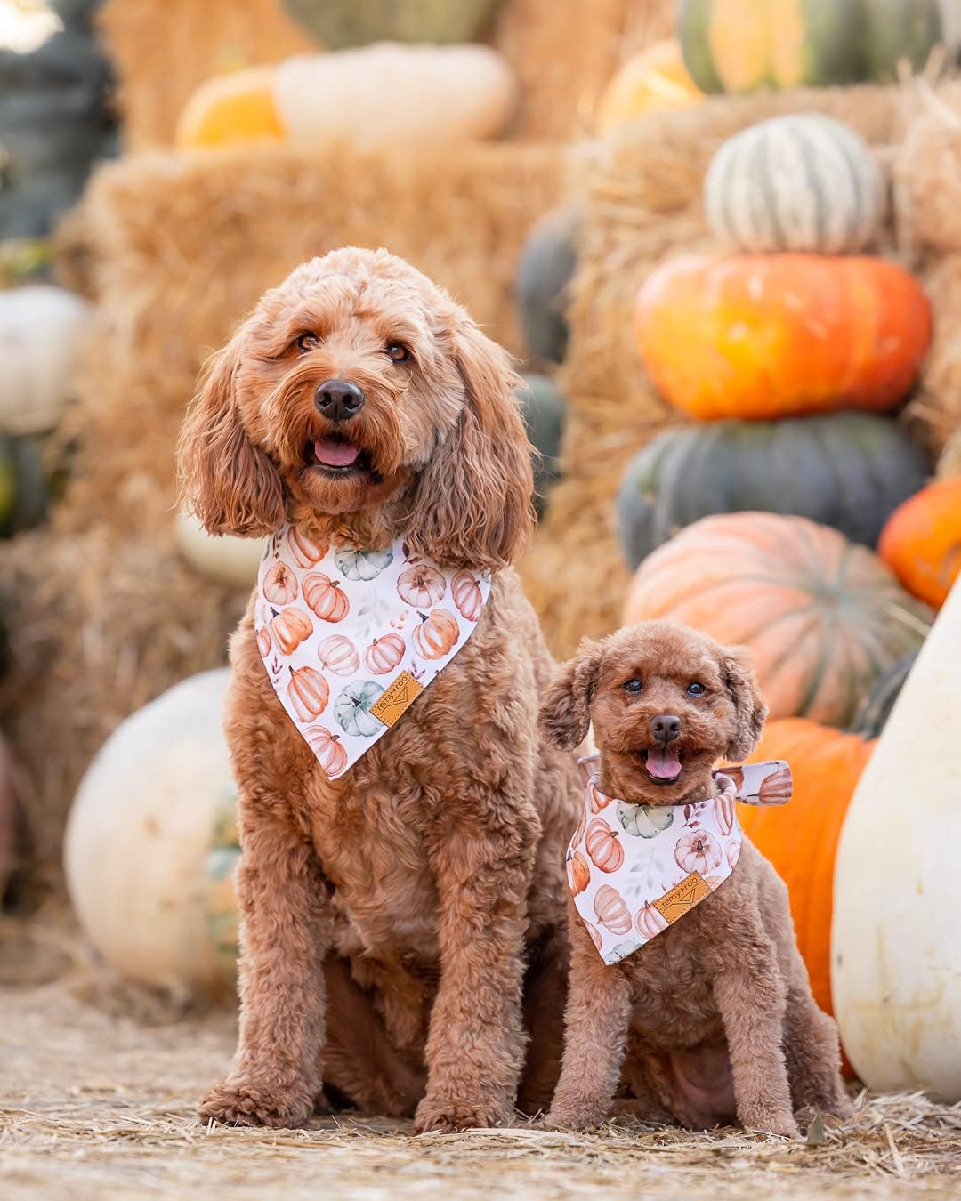 Amber Fall Dog Bandanas Large - 4 Pack - Plaid | Fall Collection | Premium Polyester Fabric | Adjustable Patented Fit | Large 4 Pack - view 2