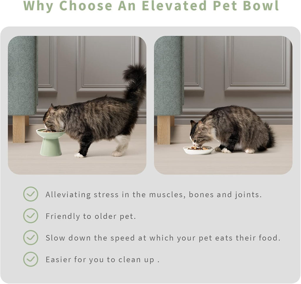 2-Pack Elevated Ceramic Cat Bowls Extra Wide for Food & Water | Anti Vomiting, Whisker Friendly, Shallow Food Dish and Deep Water Bowl, Lead&Cadmium-Free, Raised Height for Cats, Sage Green - view 6