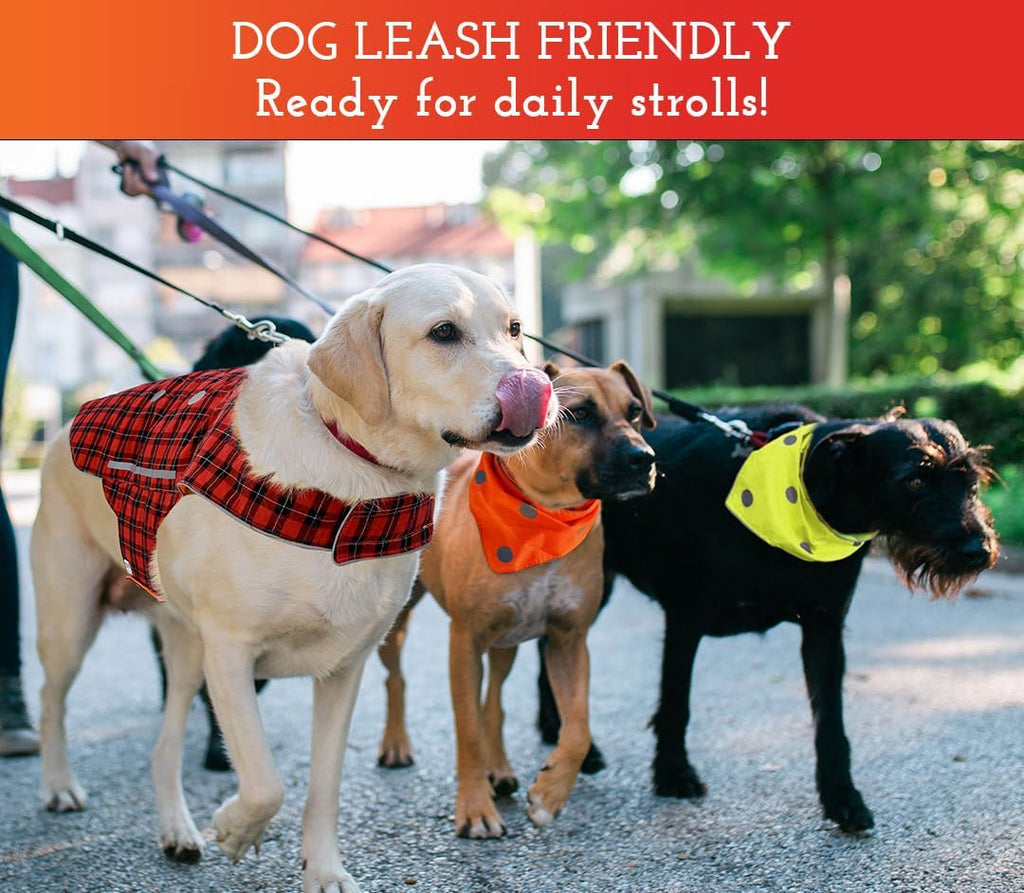 Reflective Dog Vest - Reversible High Visibility Safety Dog Accessories, Fluorescent Dog Apparel for Walking, Hiking & Camping, Hunting (Blaze Orange, Red Plaid, Medium) - view 3