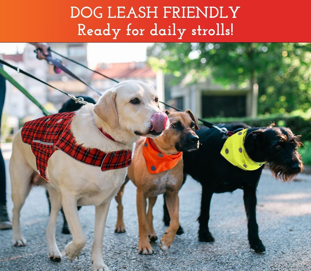 Reflective Dog Vest - Reversible High Visibility Safety Dog Accessories, Fluorescent Dog Apparel for Walking, Hiking & Camping, Hunting (Blaze Orange, Red Plaid, Medium) - view 3