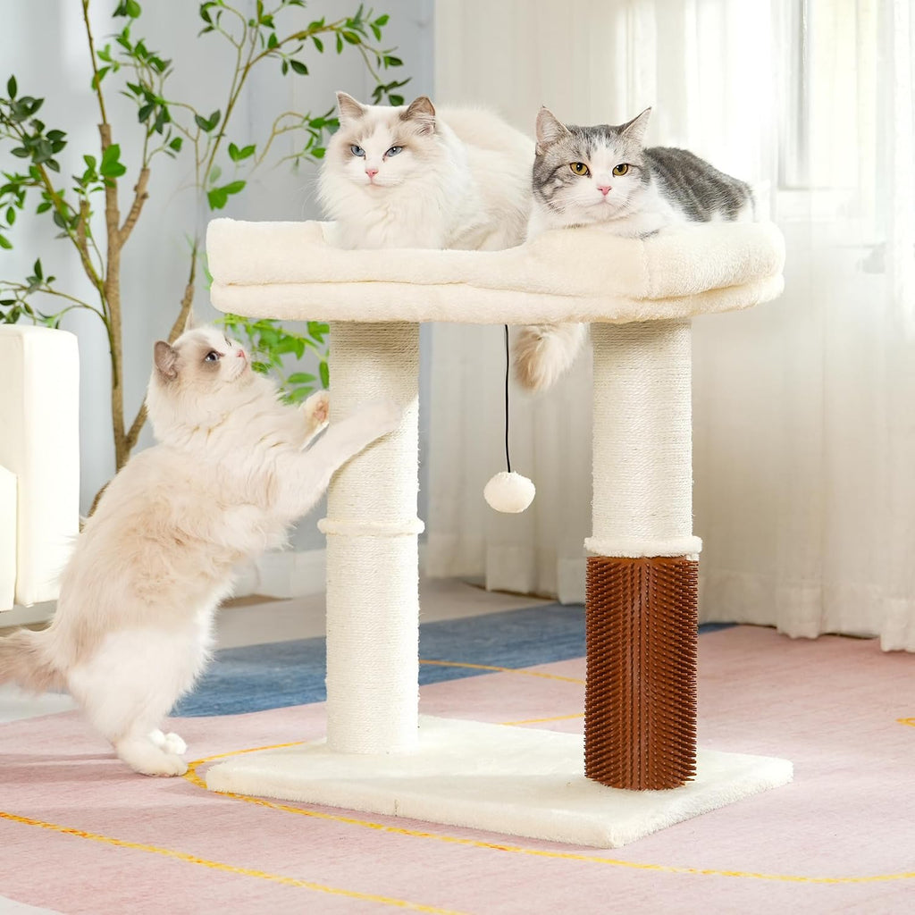 Cat tree tower for large cats cat scratching post with bed 20x16" | small cat tree with thick scratching post 4.5" dia, large raised bed 20x16", self groomer, toy ball for indoor & large cats - view 7