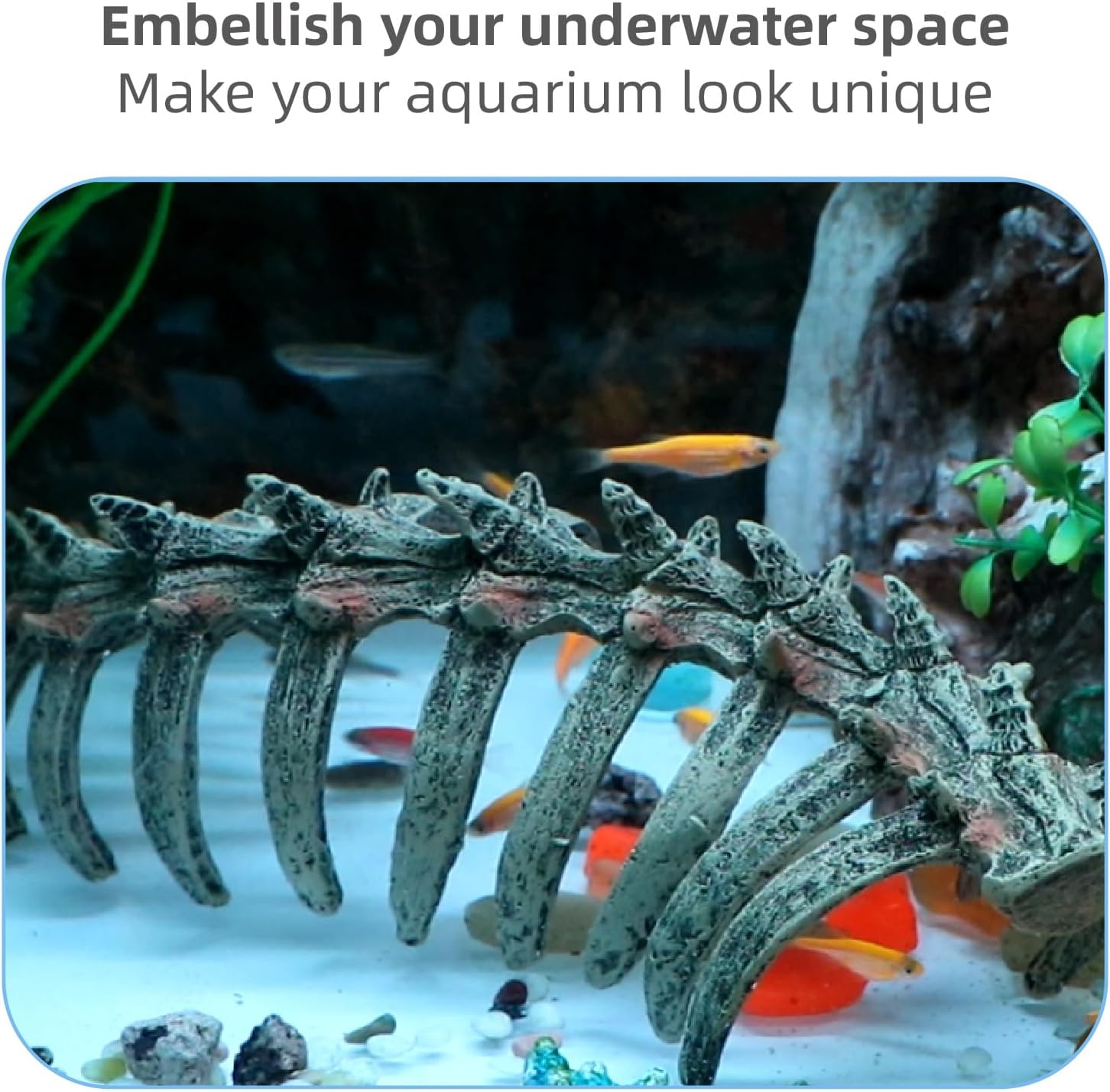 Aquarium Skull Animal Skeletons, Reptile Tank Accessories, Fish Tank Decorations for Amphibians, Betta Fish, Shrimp, Hermit Crab, Leopard Gecko - view 4
