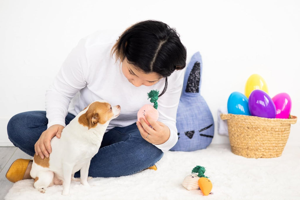 Spring Garden Veggies Dog Toys, Plush Squeaky Rope Dog Toys, Radish Carrot & Turnip Vegetable Dog Toy Set, Loud Squeakers, Set of 3 - view 4