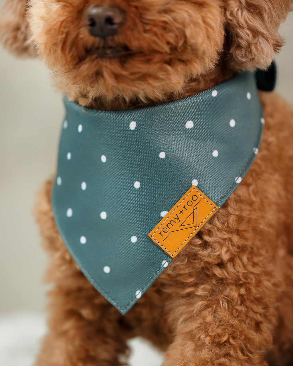 Clementine Dog Bandanas Large - 2 Pack - Floral | Summer Collection | Premium Polyester Fabric | Adjustable Patented Fit | Large 2 Pack - view 6