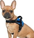 Dog Harness for Small, Easy On Pet Vest with One Buckle, No Pull Adjustable Service Harness with D-Ring & Handle, Reflective for Safety Walking, Training, Blue, S