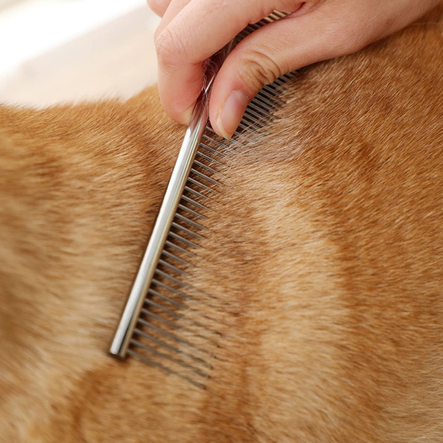 Stainless Steel Comb Set for Dogs and Cats, Pet Metal Brusher, Silver, Pack of 3 - view 4