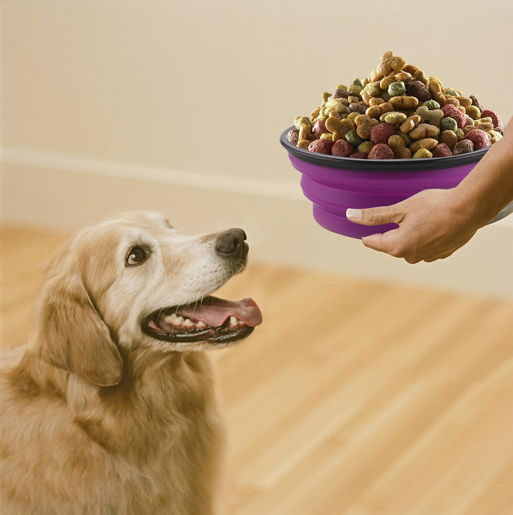 Large collapsible dog bowls, 34oz portable foldable travel water bowl food dishes with carabiner clip for traveling, hiking, walking, 2 pack (purple+green) - view 3