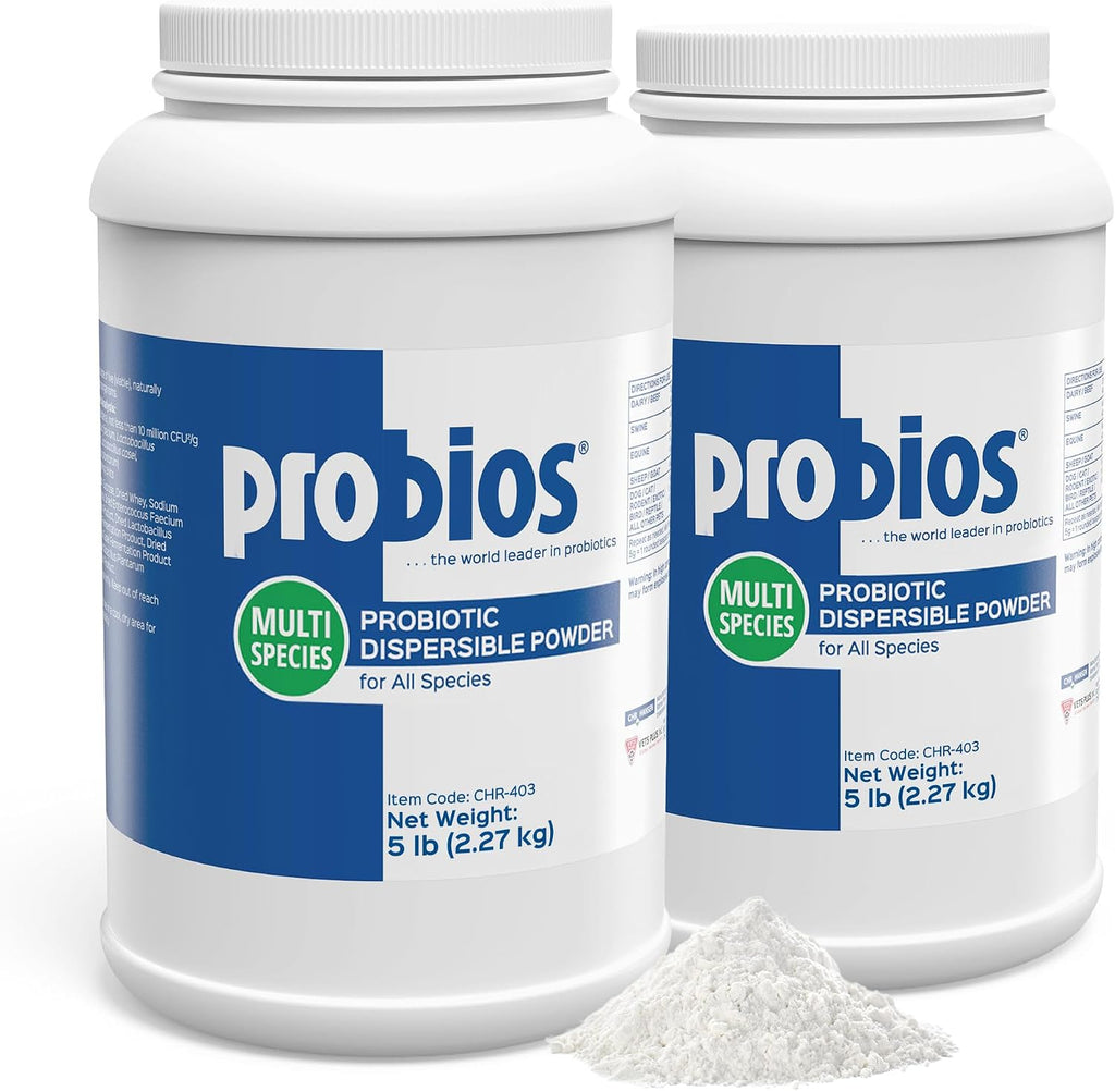 Digestive Support Powder for Pets, 5 lb | For dogs, cats, and horses, Daily probiotic, Digestive and immune support - view 7