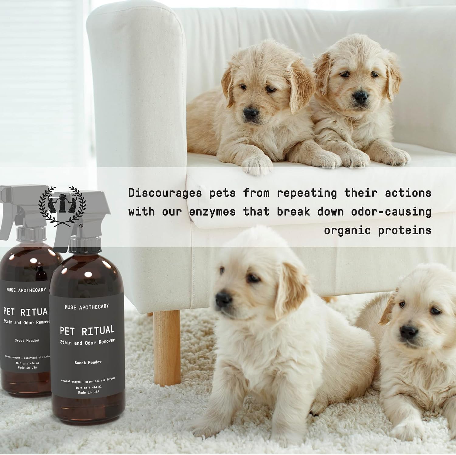 Complete Pet Stain and Odor Remover Enzyme Carpet Cleaner - Dog Stain Remover and Odor Neutralizer, Essential Oils Infused, Pet Stain Remover for Carpet - Pet Stain Carpet Cleaner 16oz - view 5