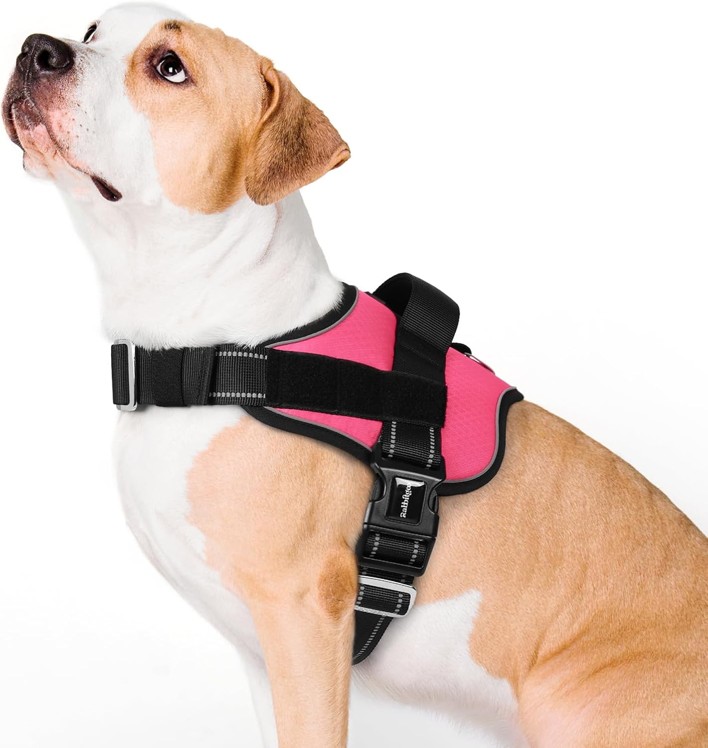 Dog Harness for Small, Easy On Pet Vest with One Buckle, No Pull Adjustable Service Harness with D-Ring & Handle, Reflective for Safety Walking, Training, Blue, S - view 5