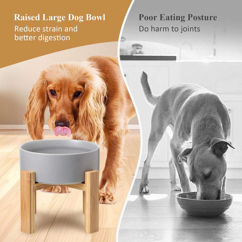 Raised ceramic large dog bowl - heavy weighted dog dish with bamboo stand - elevated for comfortable feeding - 8.3" W x 8" H - 4.5 cups (68 fl oz) - green - view 3
